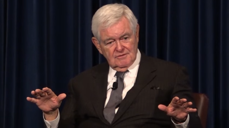  Newt Gingrich: Democrats won’t rest until Trump is ‘in chains,’ but ‘explosion of outrage’ is more likely