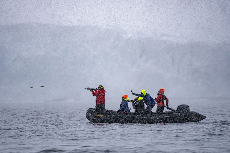  ‘Save the Whales’ was a shining success. Now can humpbacks save us from ourselves?