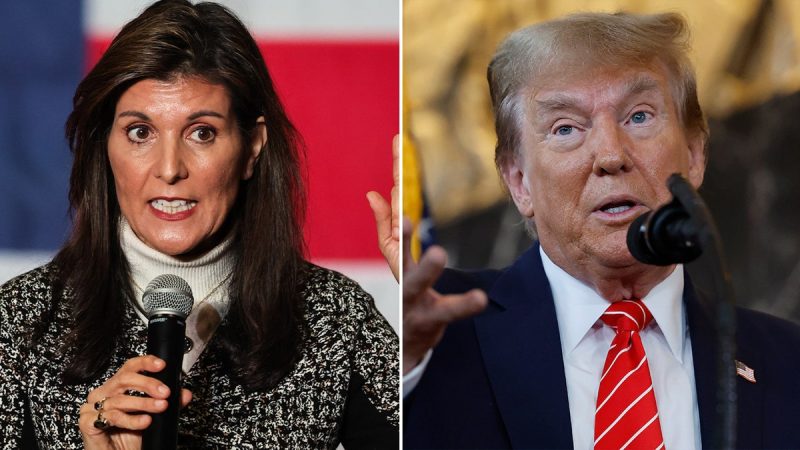  Haley mocks Trump in effort to entice debate with former president ahead of SC primary: ‘Can’t hide’