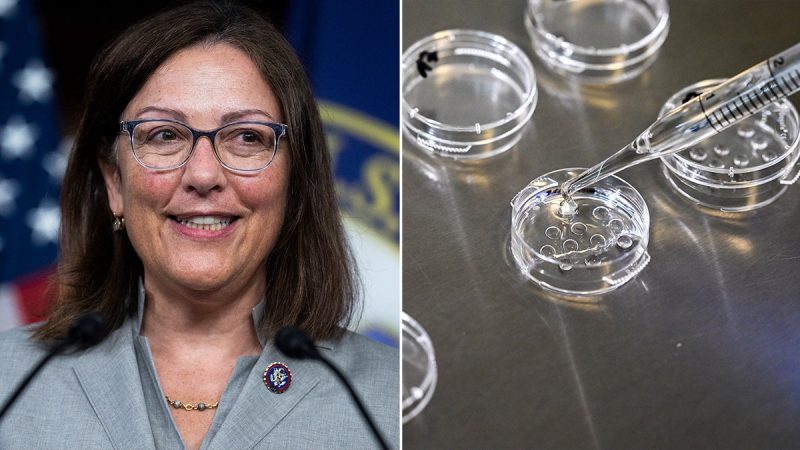  House Democrats eye Alabama IVF ruling as path to retaking majority in November