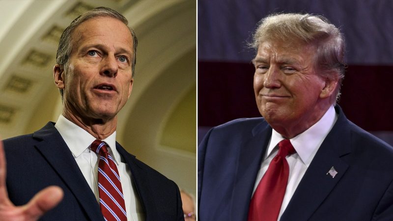  Exclusive: No 2 Senate Republican leader John Thune endorses Trump in 2024 Republican primary