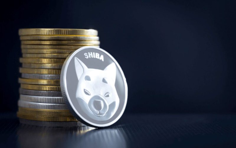  Shiba Inu Price Prediction as SHIB Rockets 226% in a Week – What’s Going On?