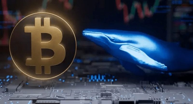  Fifth-Richest Bitcoin Whale Transfers Over $6 Billion in BTC After Years of Dormancy – What’s Going On?