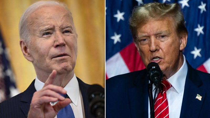  Republicans top Dems on key factor motivating voter turnout for Biden-Trump rematch: poll