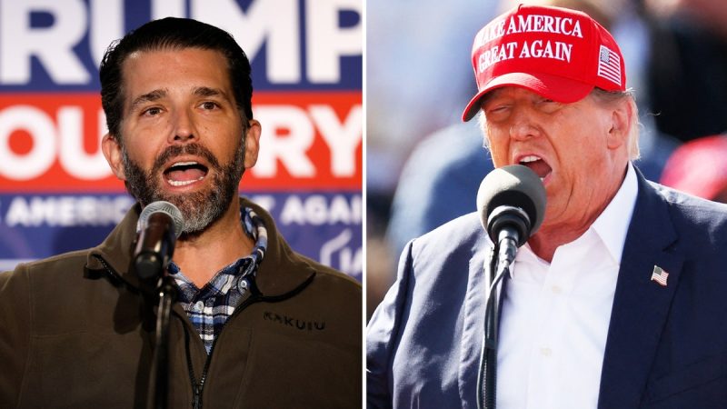  Donald Trump Jr. wants a ‘fighter’ to serve as Trump’s VP: ‘Someone who can take those hits’