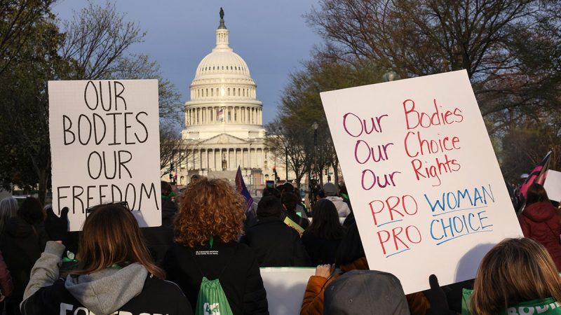  Pro-life groups assail FDA for ‘reckless disregard’ in Supreme Court abortion pill case