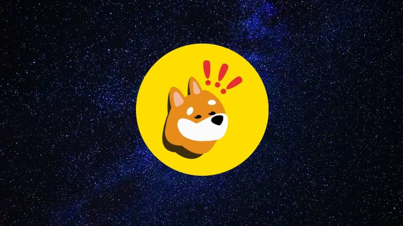  Bonk Token on BASE Takes Off as This Other Dog Coin Raises $1 Million in 48 Hours