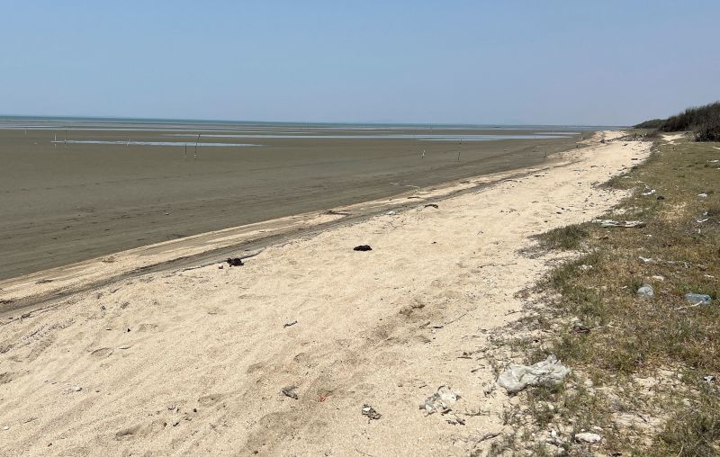  Eight Chinese migrants found dead on Mexico beach after boat capsizes