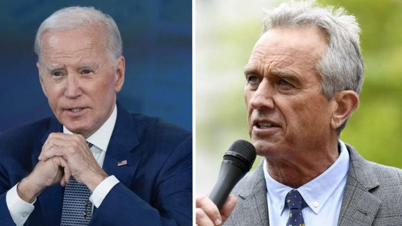  Experts weigh in on liberal ‘freak out’ over RFK Jr after VP announcement: ‘Democrats’ worst nightmare’