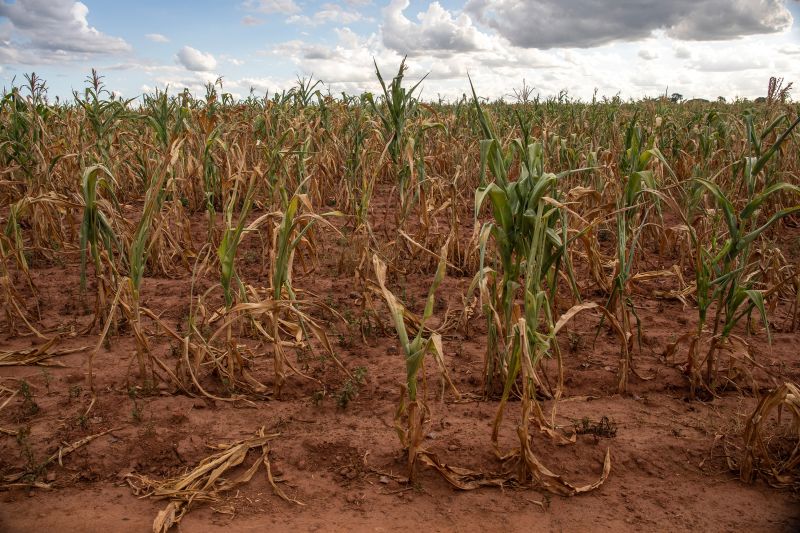  Tens of millions facing hunger and water shortages as extreme drought and floods sweep southern Africa