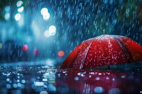 Rain Exchange Likely Exploited of $14.1 Million in Crypto 2 weeks ago: ZachXBT