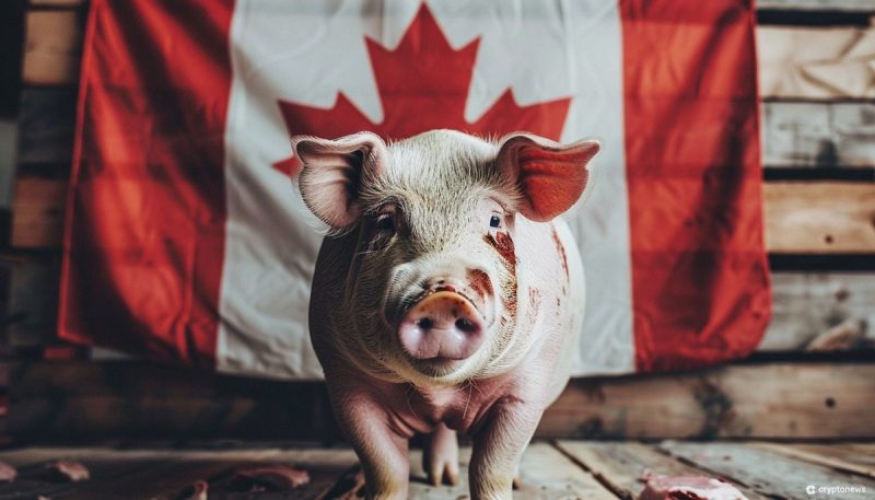  Canada Warns of Rising Pig Butchering and Crypto Investment Scams