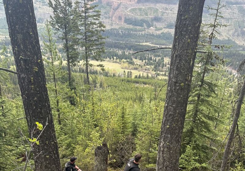  Hunter hospitalized with ‘significant injuries’ after grizzly bear attack in British Columbia