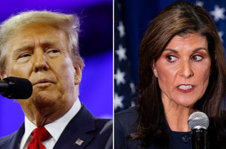 Trump denies report claiming Nikki Haley is ‘under consideration’ for VP role: ‘I wish her well!’
