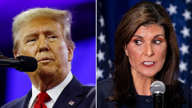  Trump denies report claiming Nikki Haley is ‘under consideration’ for VP role: ‘I wish her well!’