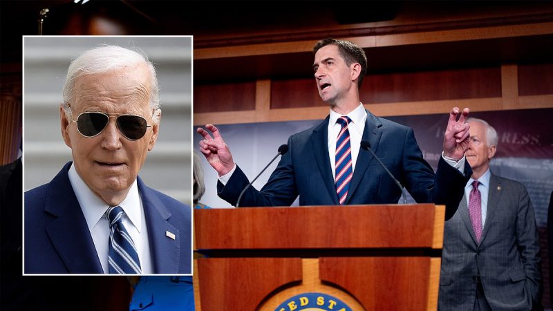  ‘No choice’ but to impeach Biden over delayed Israel aid, GOP senator says