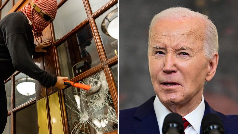  ‘No leadership’: Resurfaced post comes back to haunt Biden after anti-Israel protests sweep the nation