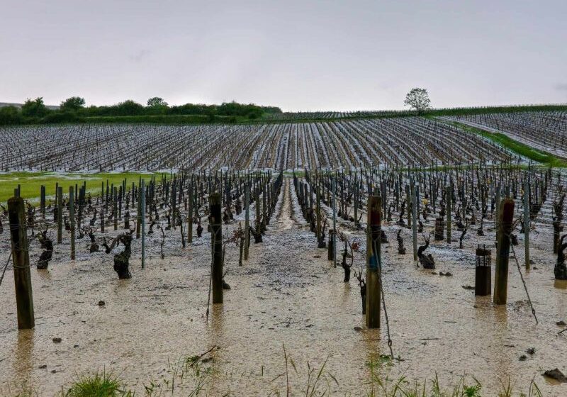  ‘Ping pong-sized’ hailstones ravage famous French wine region