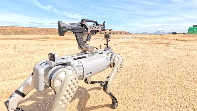  China’s military shows off rifle-toting robot dogs