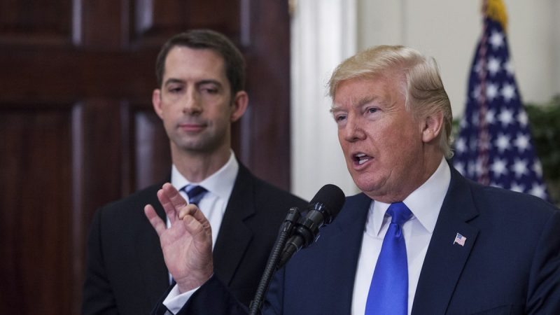  Potential Trump running mate Tom Cotton took hard look at 2024 run, but being a father came first