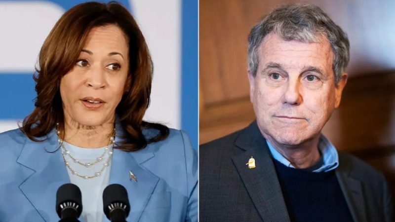  Vulnerable Dem senator hit with immigration ad tying his policies to his ‘new friend’ Kamala Harris