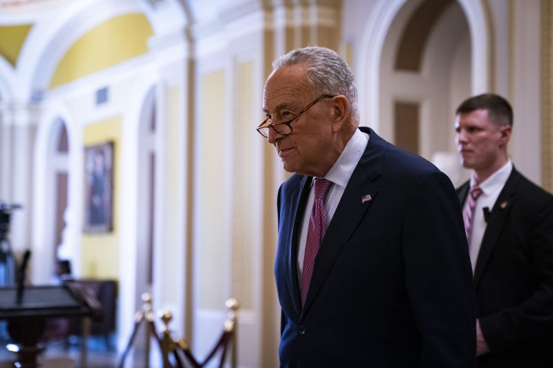  Schumer leaves room to maneuver on Biden