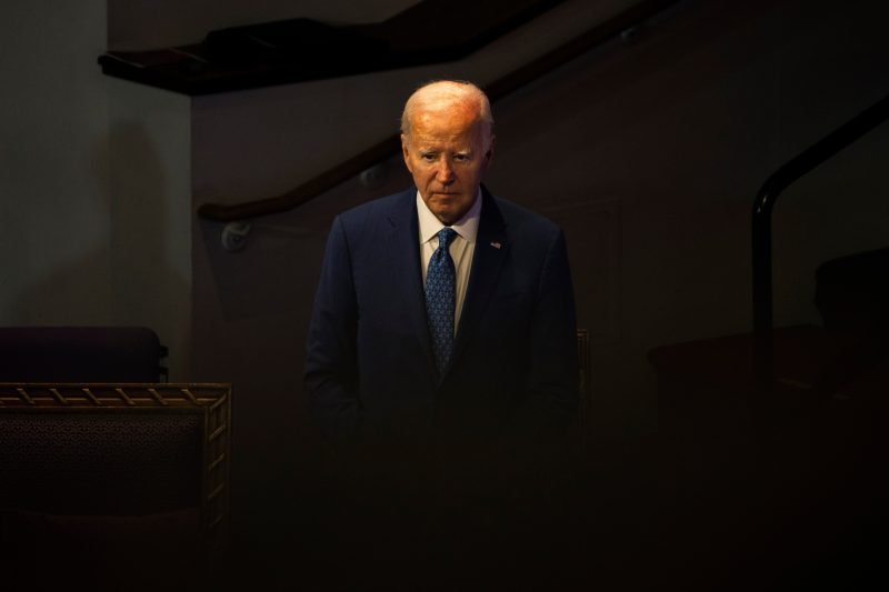  Biden should provide evidence he can beat Trump, Democratic leaders say