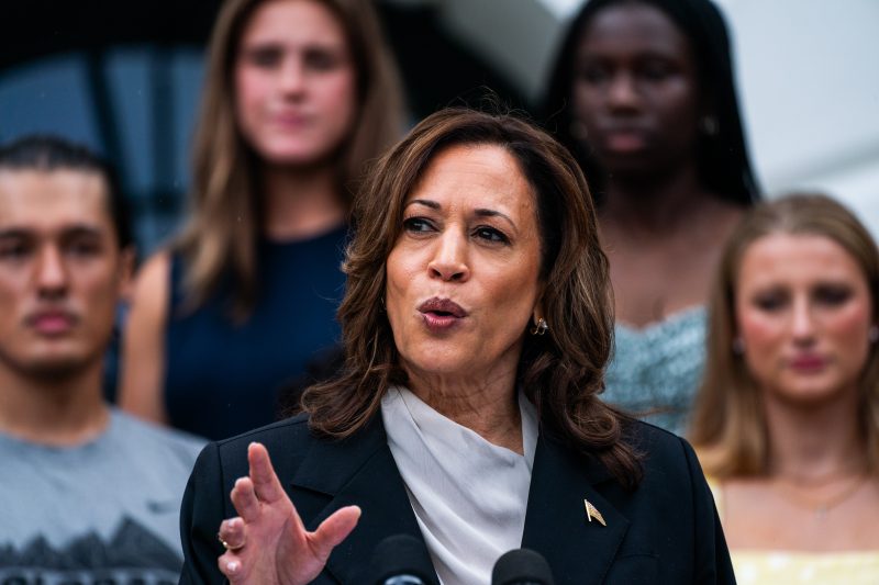  After Biden’s exit, Zoom led by Black women mobilized 44,000 for Harris