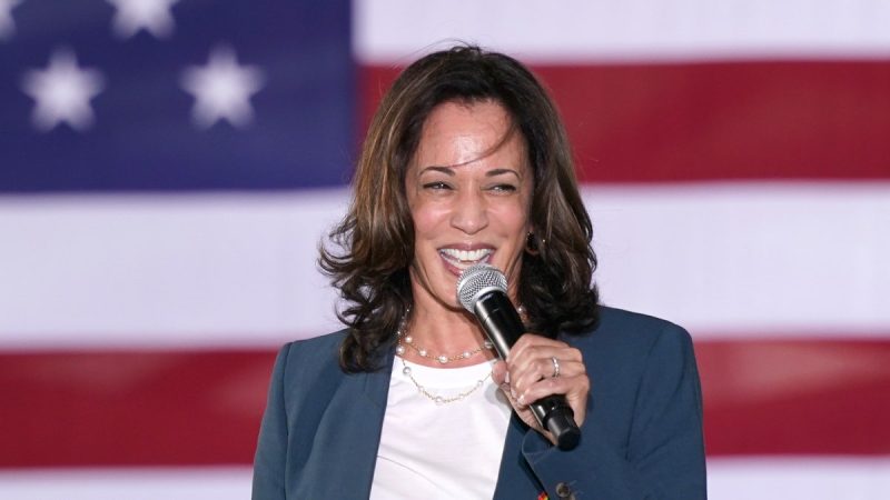  Kamala rides tsunami of positive press, but skeptics see a risky choice