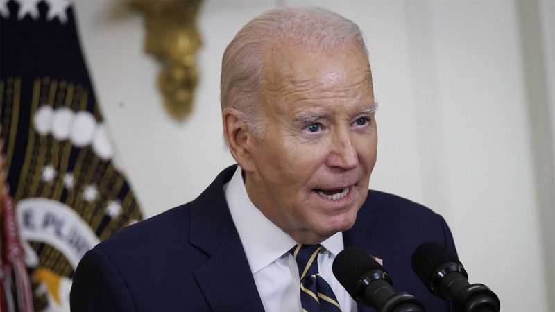  Dems’ ‘deeply self-destructive’ attacks on Biden to blame for weakening his candidacy, lawmaker says