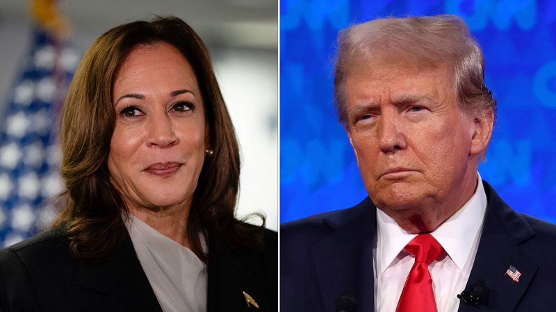  Pollster finds ‘astounding change’ in Democratic electorate since Harris’ ascension