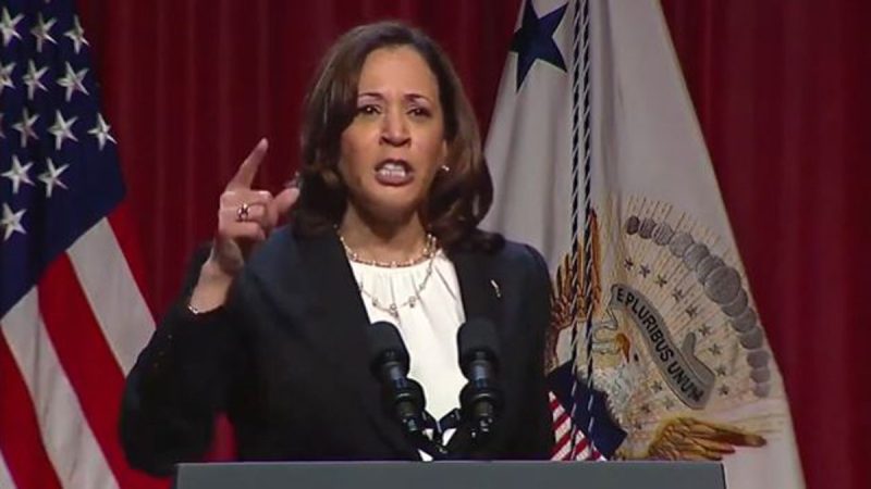  Harris campaign dismisses critics of ‘segregation’ fundraising effort