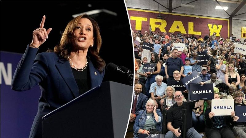  Dem voters at Milwaukee rally say they’re fired up for Harris: ‘United and energized’