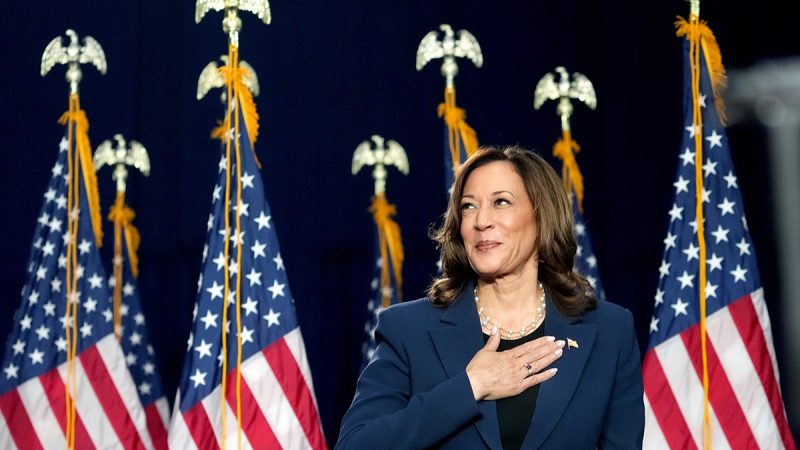  Harris’ momentum a reflection of Democrat ‘relief’ replacing Biden: GOP strategist