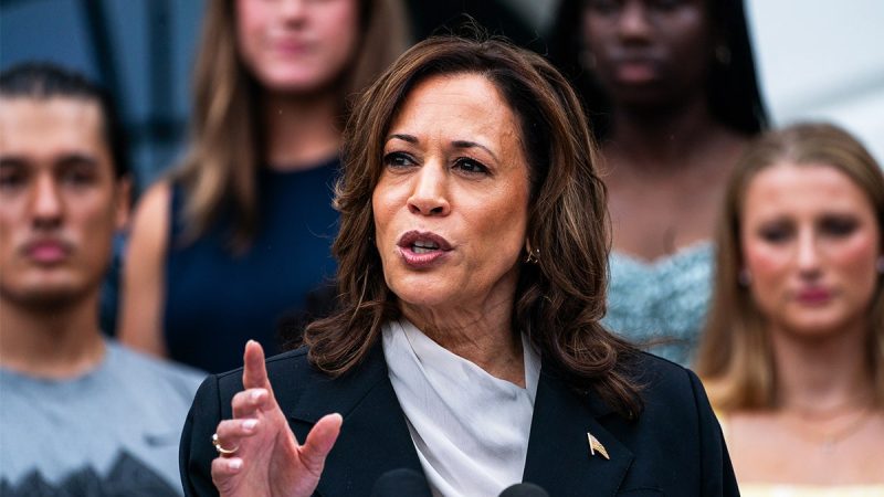  Harris says Biden is currently capable of serving as president amid growing concerns over his fitness