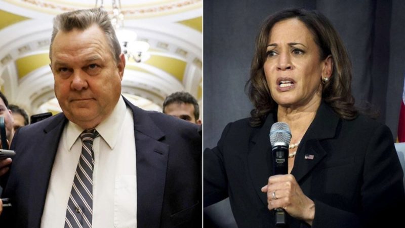  Vulnerable Dem senator credited with recruiting Harris to Senate still hasn’t endorsed her for president