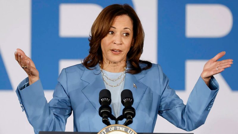  New poll reveals what Democrats think of Harris as president