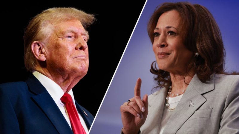  Harris’ impact on race with Trump revealed in new poll