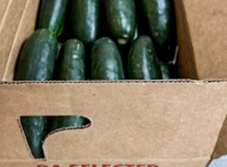  Recalled cucumbers linked to at least 449 illnesses have been pulled from stores, CDC says