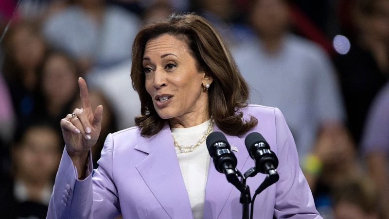  Cotton slams Harris as ‘naive’ on Iran, blasts VP for not being tough on Hamas