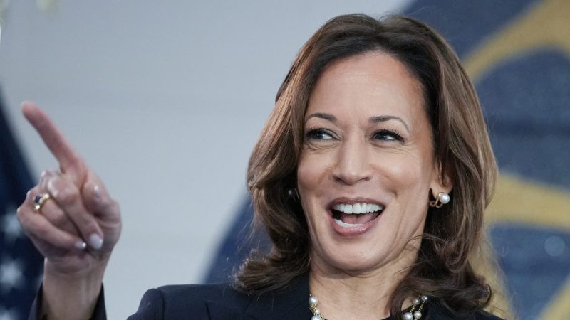  Conservatives react to Kamala Harris’ latest ‘word salad’ on climate change ‘deadlines’