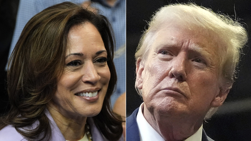  Americans view Harris as more honest than Trump, but trust her less on economy, immigration: poll