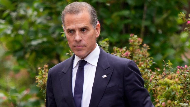  Hunter Biden sought State Department assistance for foreign company while Joe was VP: report