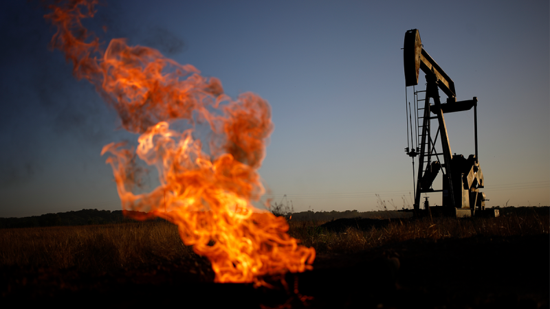  Climate justice group that trains federal judges accused of ‘corruptly influencing courts’