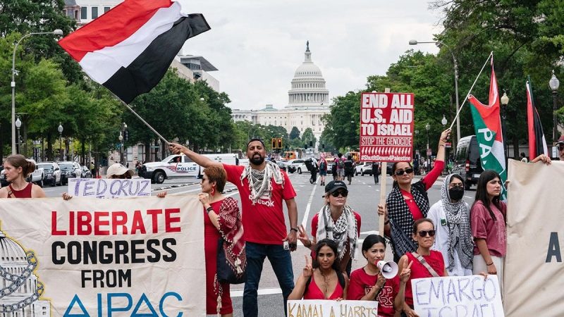  Law enforcement brace as anti-Israel groups vow to bring tens of thousands of protesters to DNC in Chicago