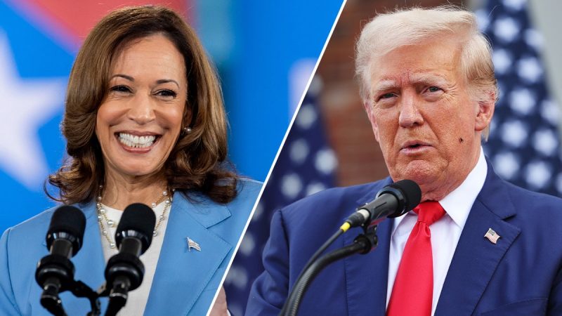  Harris re-energizes Black voters in key states, poll finds