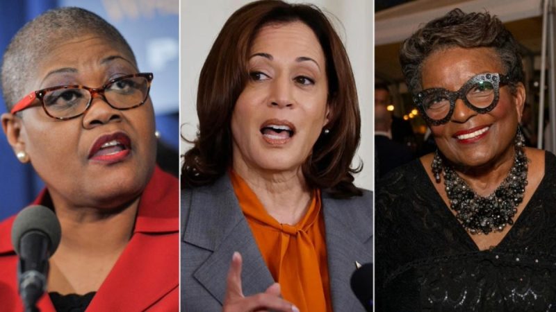  ‘F— the White women’: Black activists tied to VP Harris could derail Dem ‘unity’ message with past rhetoric