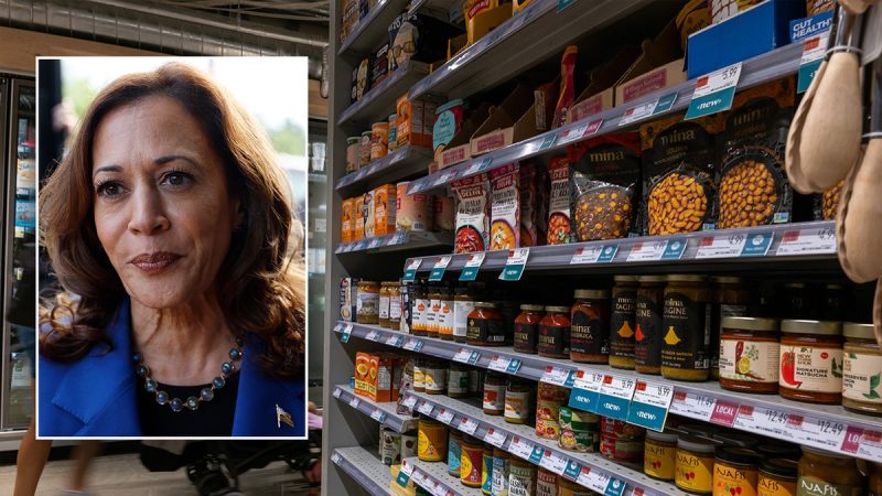  ‘Nail in the coffin’: Grocer turned House lawmaker trashes Kamala Harris’ price control plan