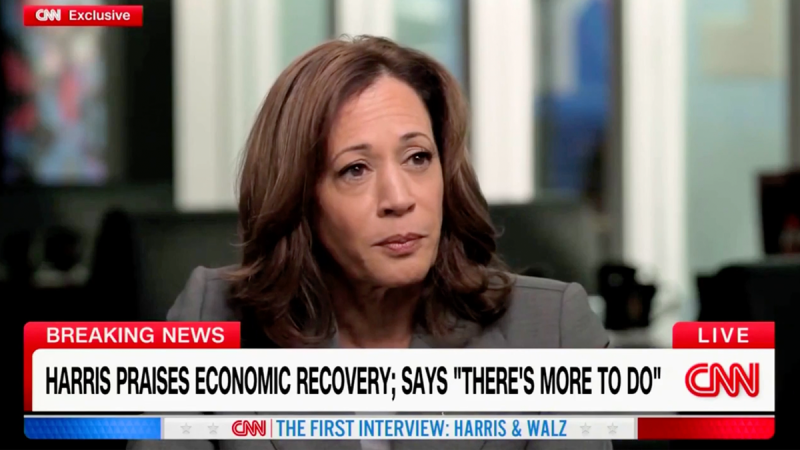  Kamala Harris offers vague ‘Day 1’ Oval Office plan in CNN interview: ‘A number of things’