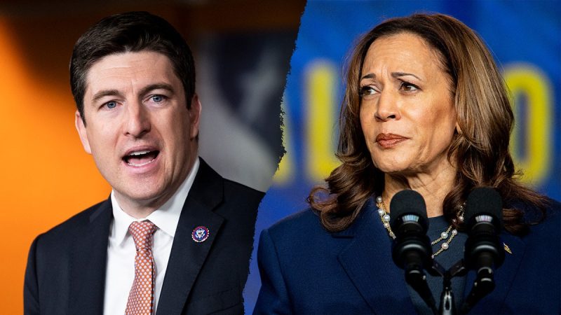  ‘Serious loophole’: GOP widens probe into ActBlue, Dem fundraising platform helping Harris raise millions